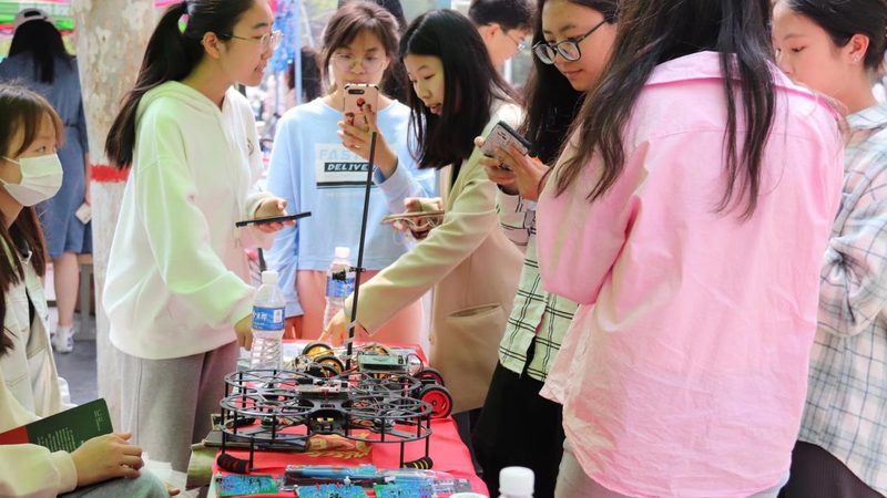 Excel数据可视化：入门教程与技巧解析